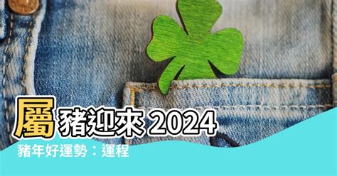 豬年運程2024|屬豬2024運勢丨屬豬增運顏色、開運飾物、犯太歲化解、年份